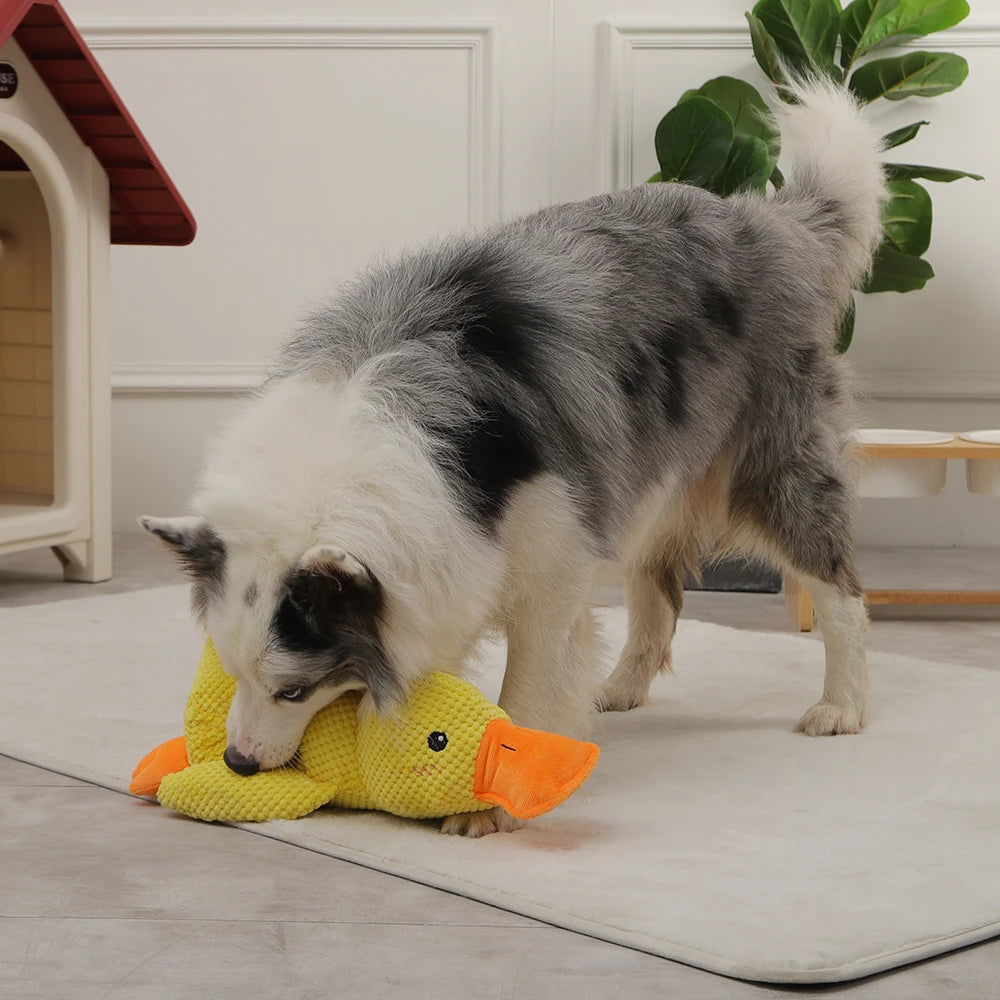 Wuffly Duck Cuddly Toy